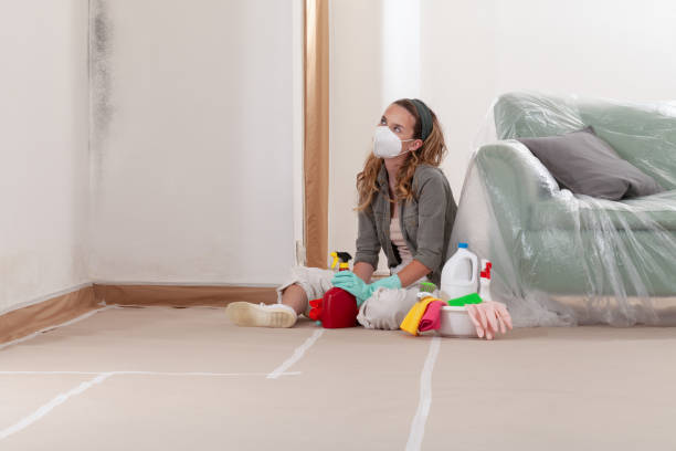 Reliable Mold Cleanup contractor in McQueeney, TX by Cheap Mold Removal